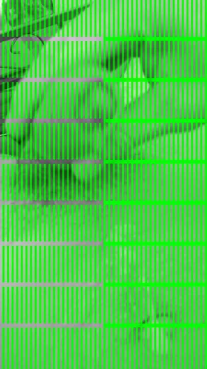 Ma Queue Gay Amateur Amateur Porn XHamster