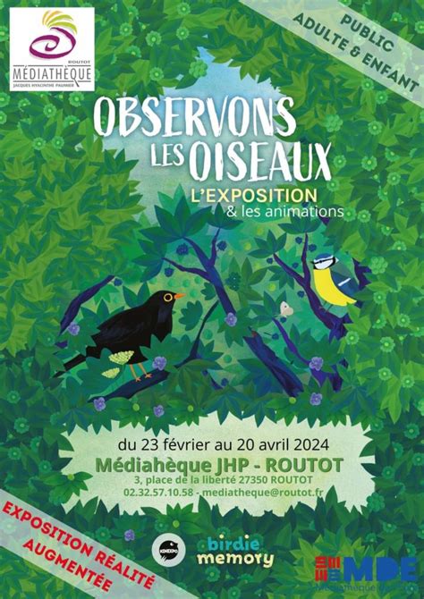 Observons Les Oiseaux Mairie De Routot Mairie De Routot