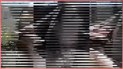 Shalimar Porn Videos Porn Star Sex Scenes Xhamster