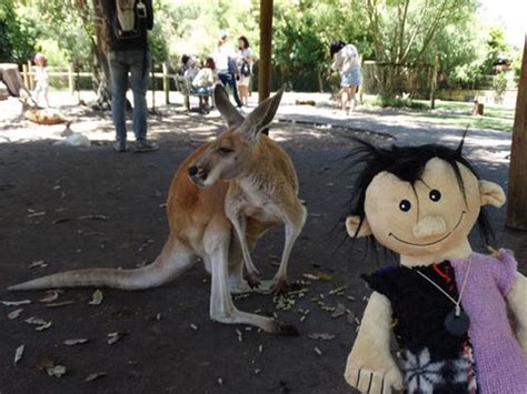 sobo traveling   world hiddenworld