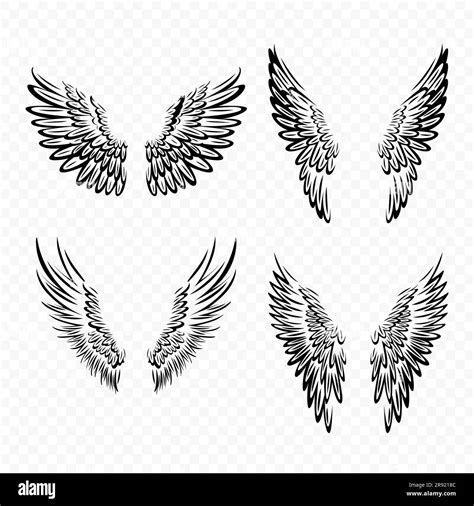 Vector Black Wing Icon Set. Vintage Angel Wings, Icons, Design Template ...