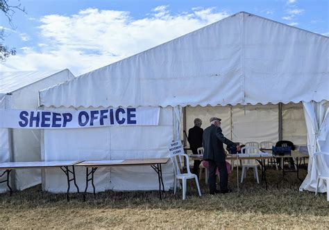 And to you, your wassail too - Trufflepig