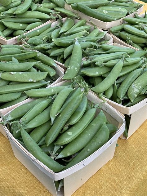 EVENTS — Barkley Village