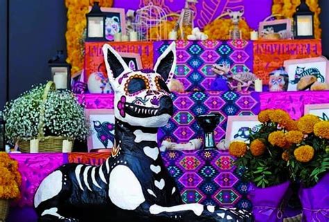 Ofrenda Para Las Mascotas En Esta Fecha Se Pone El Altar Para Los Lomitos