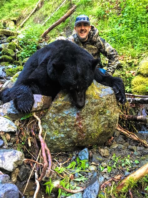 British Columbia Black Bear Hunt Quality Hunts 1 Hunt Provider