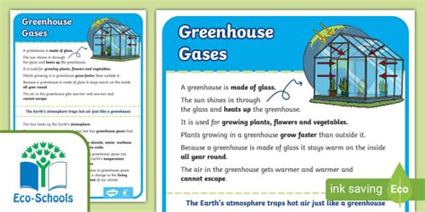 Eco Schools Greenhouse Factsheet Teacher Made Twinkl