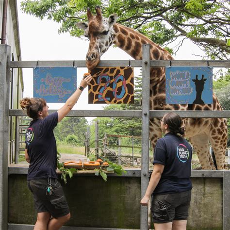 Paignton Zoo | Paignton