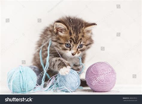 Pretty Kitten Playing With Yarn Ball On Light Background Stock Photo