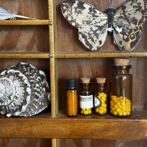 Advanced Materia Medica I: Animal and Plant-Based Remedies - Academy of ...