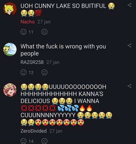 UOH CUNNY LAKE SO BUITIFUL Nacho Jan What The Fuck Is Wrong With You People RAZOR Jan