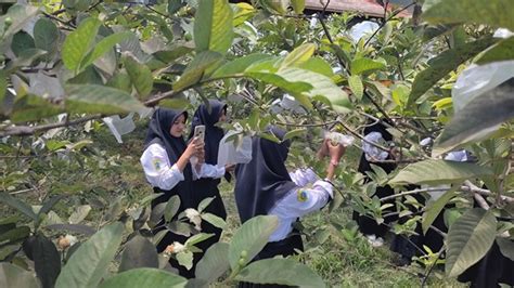 kunjungan industri kusuma agro industri batu malang smk pemuda