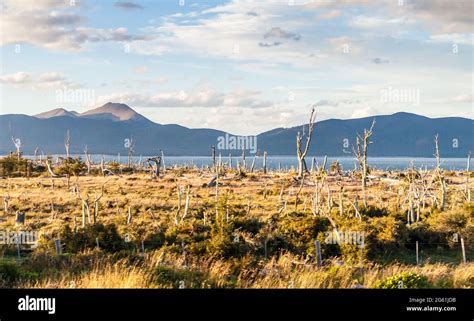 Lago Fagnano Also Cami Lake At Tierra Del Fuego Island Argentina