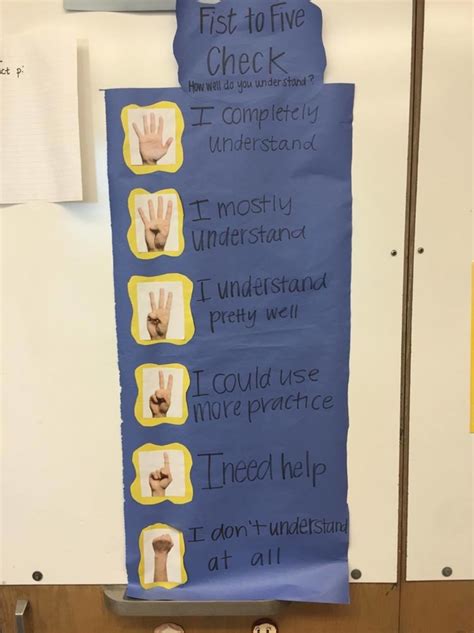 standard  assessment andrea enda