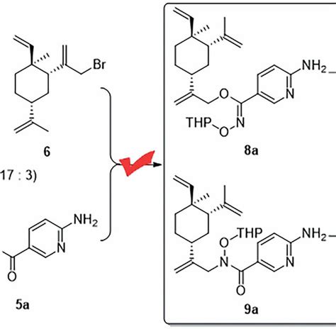 The Discovery Of N Alkyl N Hydroxyl Carboximate Derivatives Of B