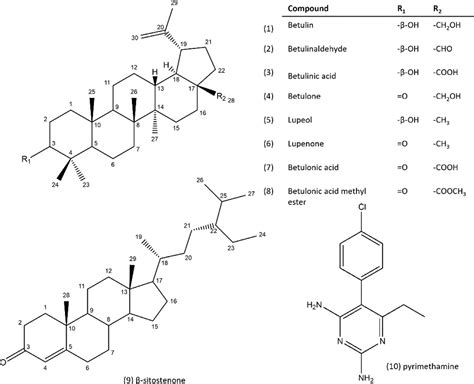 Figure 1 From Anti Toxoplasma Gondii Effect Of Lupane Type Triterpenes