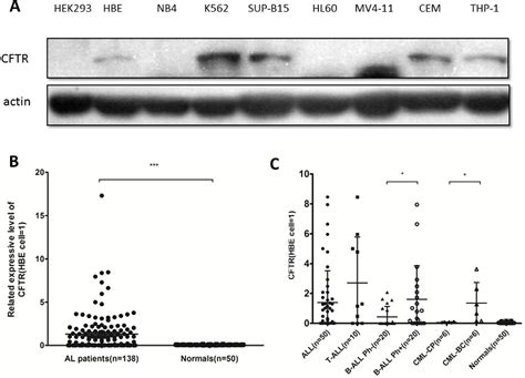 Figure 1 From High CFTR Expression In Philadelphia Chromosome Positive