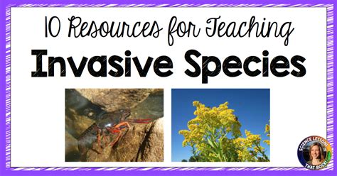 Invasive Species Game Lesson Plan