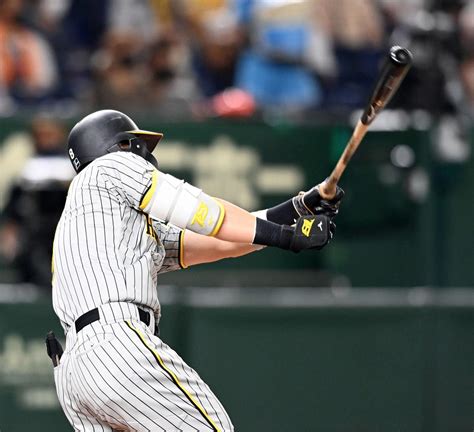 【阪神】佐藤輝明のバットがスタンドイン一塁ベンチ上のネット飛び越え観客に直撃 プロ野球写真ニュース 日刊スポーツ