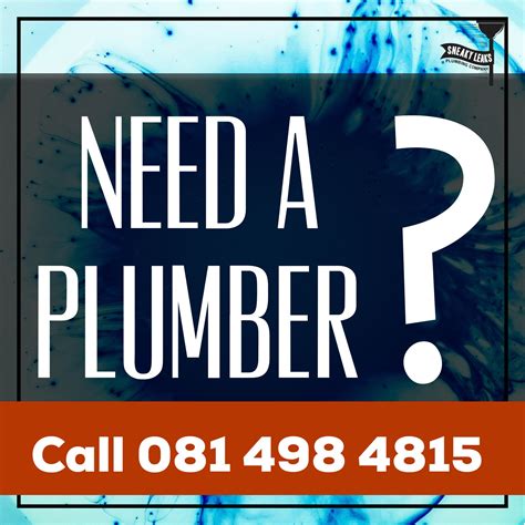 Sneaky Leaks Plumbing Co.