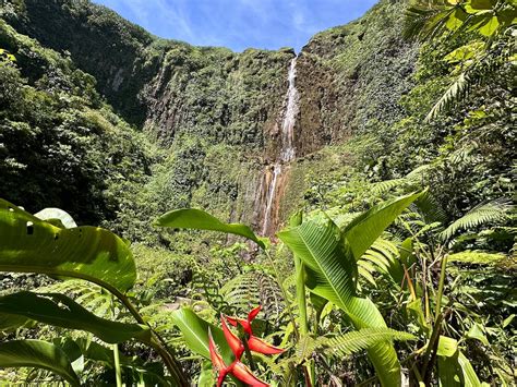 A Guide To Terre De Haut Les Saintes Guadeloupe