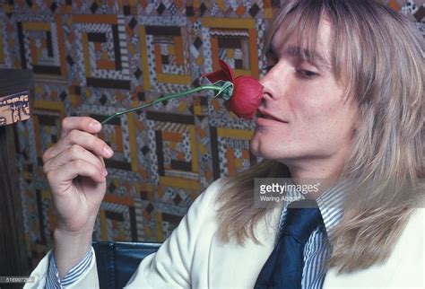 Robin Zander Net Worth