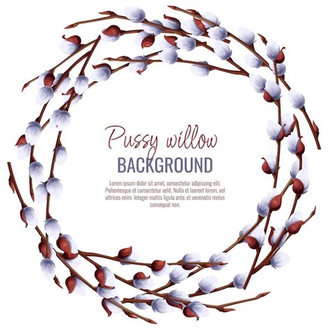 Premium Vector Spring Background With Pussy Willow Branches Postcard Banner For Easter Spring