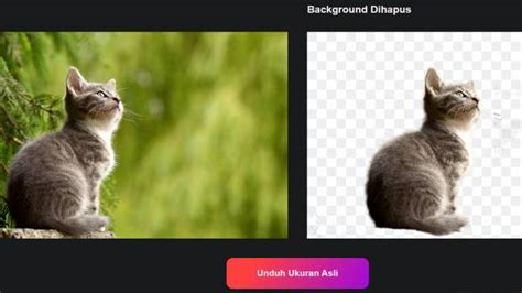 hapus background foto   aplikasi mudah  cepat