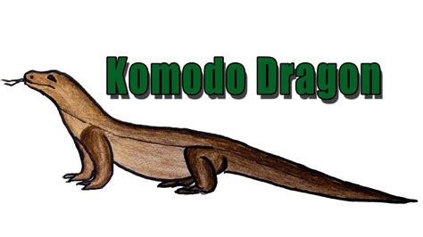 How To Draw A Komodo Dragon Art Hub