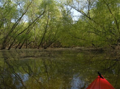 Staunton River Ii