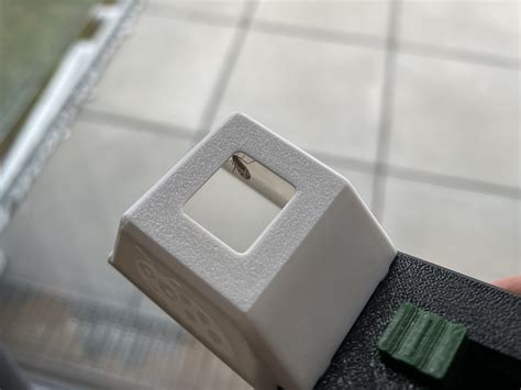 Crawlies Catcher - Remove spiders, bugs, ants etc. by LW design