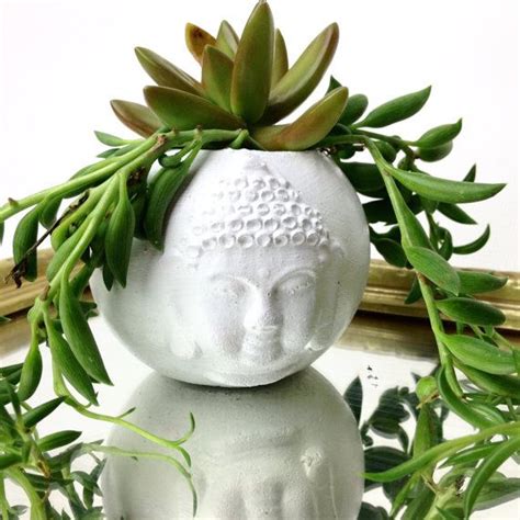 Buddha Head Planter Succulent Planter Cacti Planter Etsy Buddha