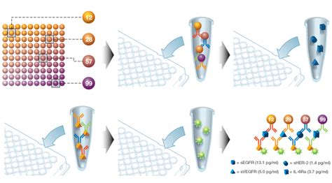 Highly Sensitive Bio Plex® System In Novel Melanoma Therapeutics