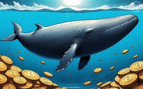 Bitcoin Whales Accumulate Pre-Halving, Signaling Price Surge