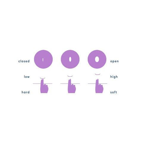cervix dilation chart  stages  labor  pictures artofit