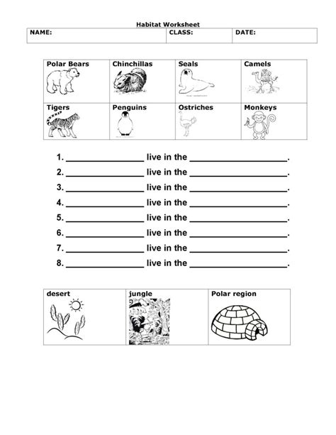 Free Printable First Grade Science Worksheets