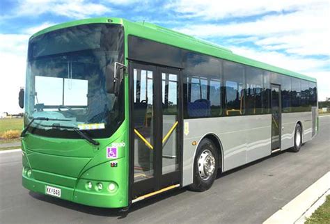 city buses global bus ventures