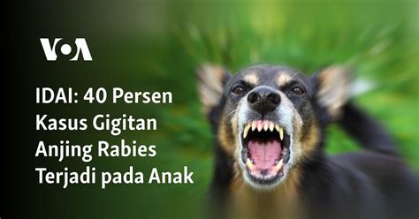 Persen Kasus Gigitan Anjing Rabies Terjadi Pada Anak Memantau