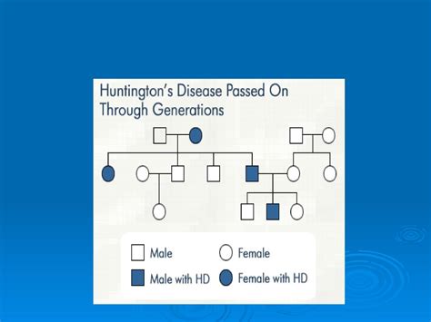 Pedigrees Sex Linked Traits Mrs Ray Human Chromosomes Humans Have