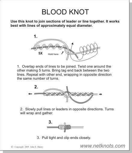 The Blood Knot