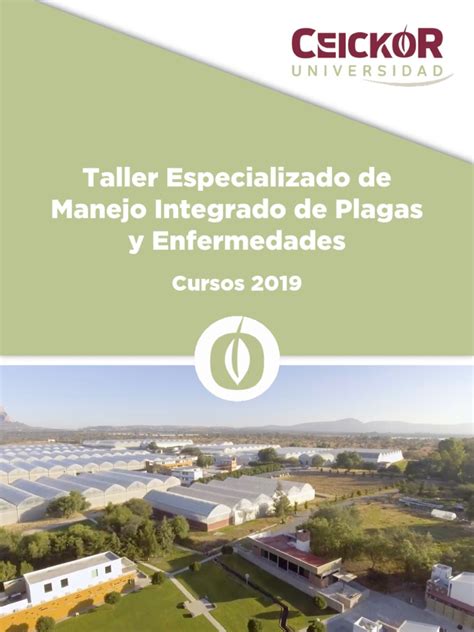 Temario Manejo De Plagas Y Enfermedades 2019 Pdf Pdf Plaga