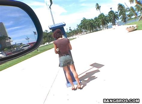 King Of Miami Porn Pictures XXX Photos Sex Images 3227497 PICTOA