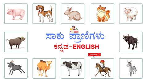 ಸಕ ಪರಣಗಳ ಹಸರಗಳ ಕನನಡ ಇಗಲಷ ನಲ Domestic Animals Name