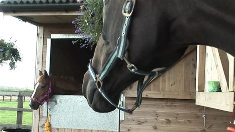 Massive Natural Tits Bouncing On The Trampoline Feat Kirsten Halborg