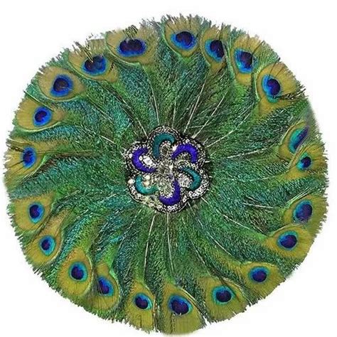 red peacock pankh  unit  nagaur id