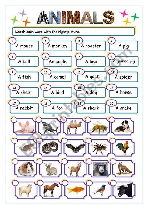 Animals Match Esl Worksheet By Slessuisse