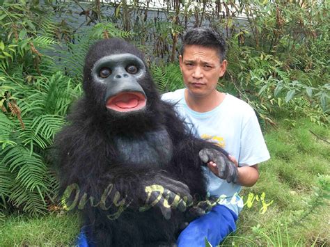 Lovely Baby King Kong Puppet For Sale Only Dinosaurs