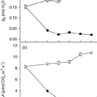 Leaf Stomatal Conductance A And Assimilation Rate B Of Aspen