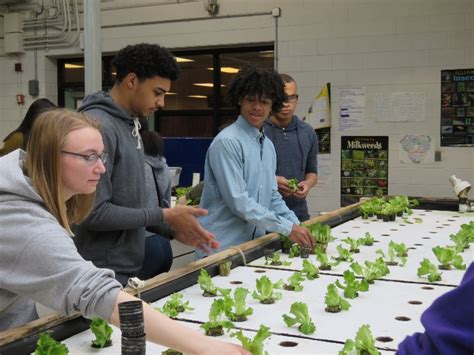 Chicago Ag Sciences Ffa Chapter News