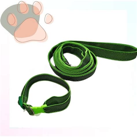 Набор Ошейник и поводок | Personalized items, Person