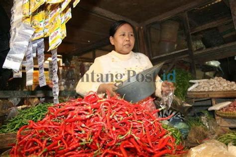 Pasokan Mulai Berkurang Cabai Merah Besar Kian Pedas Bontang Post